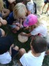 foto - 12